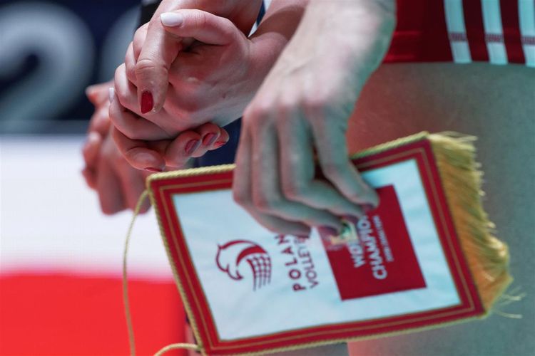 Xalsız vida  - YENİLƏNİB