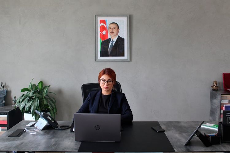 Milli Mətbuat Günü ilə əlaqədar videokonfrans keçirdi - AMADA 