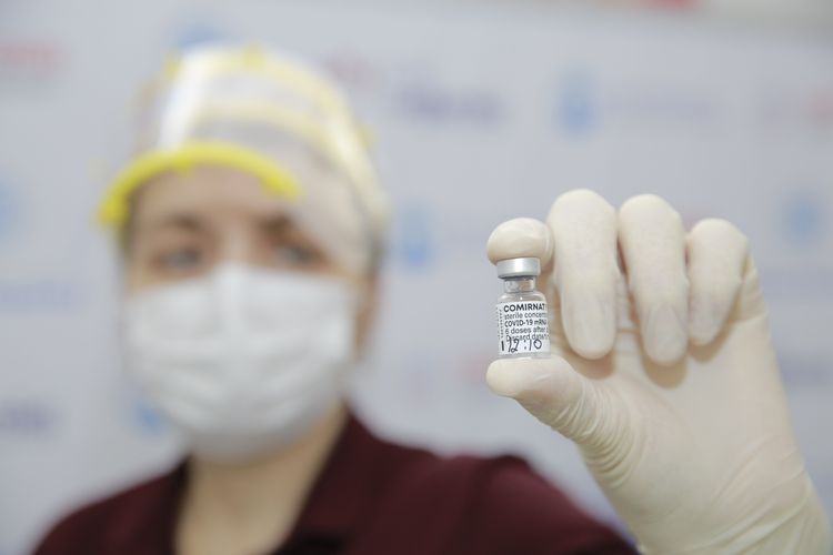 Olimpiyaçılarımızın peyvəndləmə prosesinə başlandı - FOTOSESSİYA