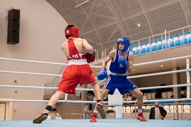 Daha 3 çəki dərəcəsində 1/4 final mərhələsi yekunlaşdı - FOTOSESSİYA