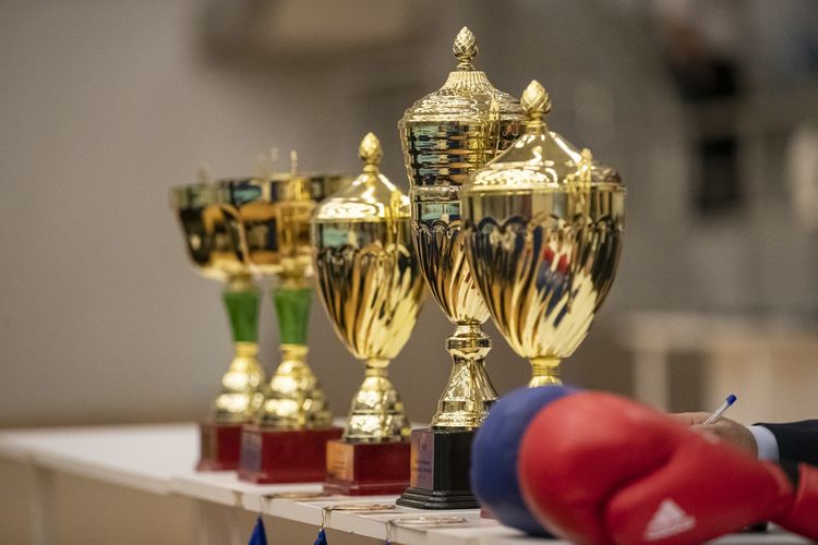 Azərbaycanın ən güclü boksçuları bəlli oldu - FOTOSESSİYA