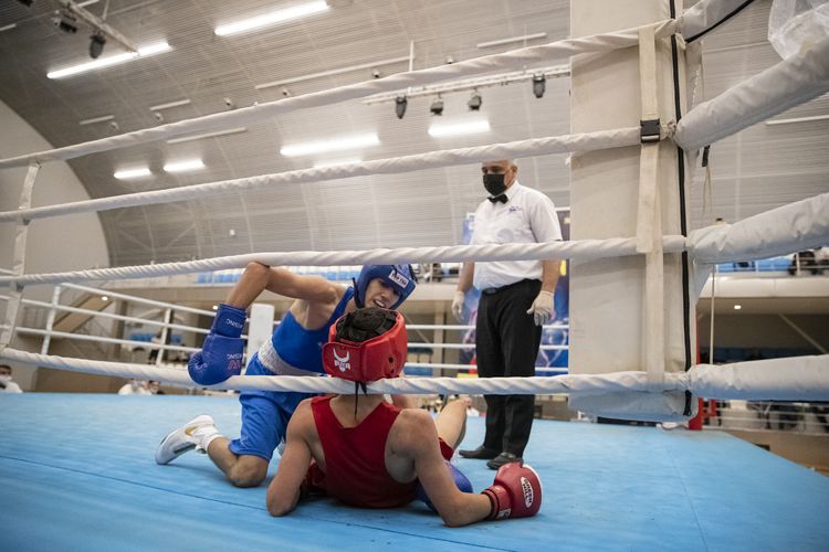 Azərbaycanın ən güclü boksçuları bəlli oldu - FOTOSESSİYA