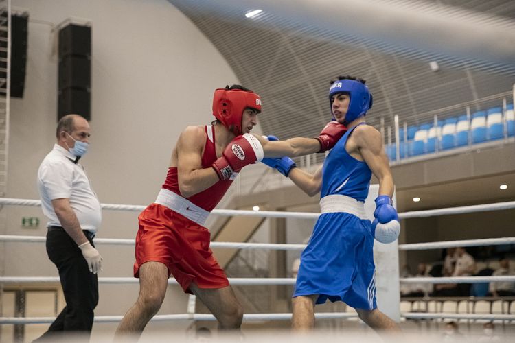 Azərbaycanın ən güclü boksçuları bəlli oldu - FOTOSESSİYA