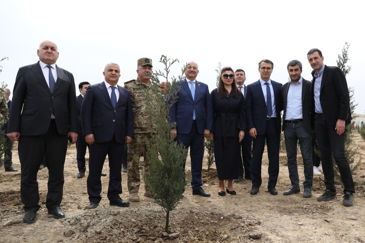 “Qarabağ”dan ağacəkmə aksiyası - FOTOSESSİYA 