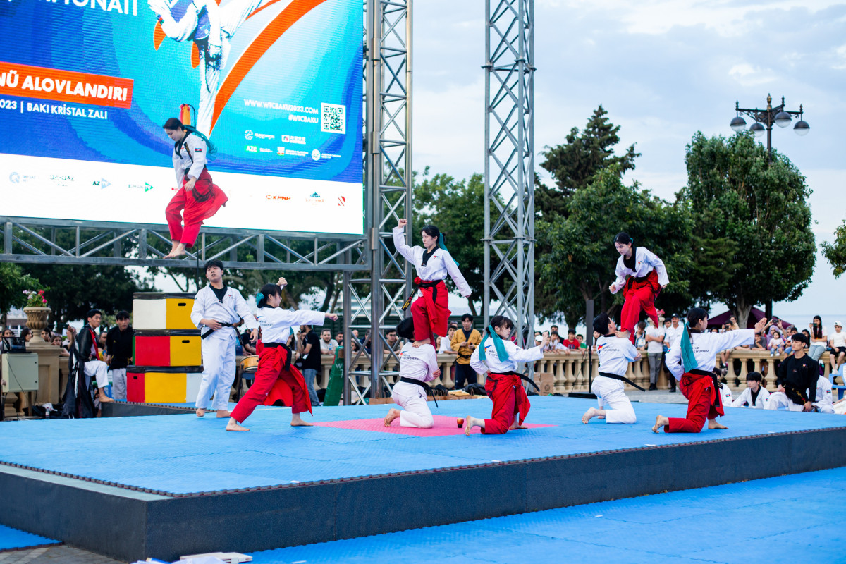 Bakıda taekvondo festivalı - FOTOLENT 