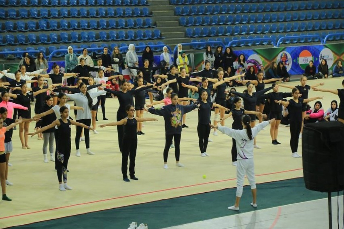 Gimnastika millimizin məşqçisi Misirdə kursda iştirak edib