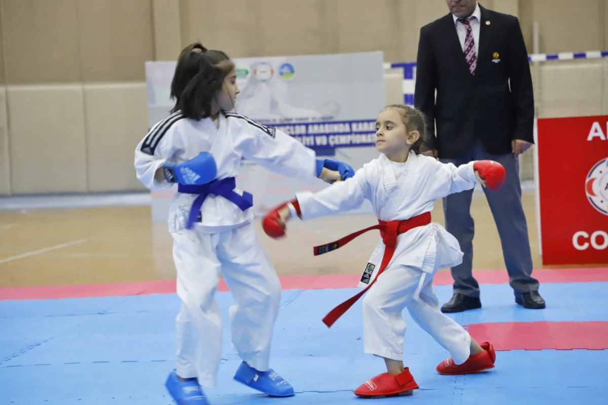 Karate üzrə muxtar respublika birinciliyi keçirilib - FOTO 