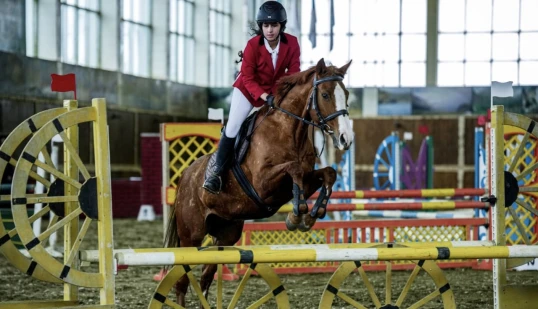 Bakıda “Bahar Kuboku” turniri keçiriləcək