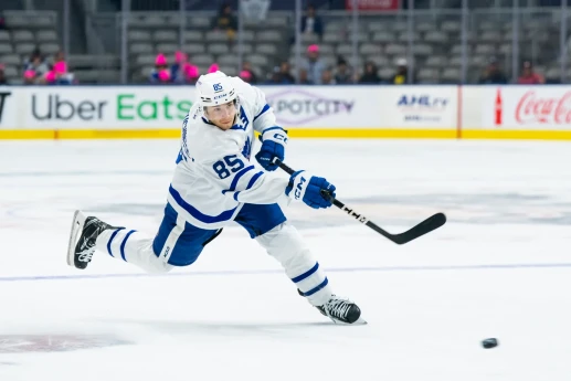 Hokkeydə daha əvvəl görülməyən qol  - VİDEO 